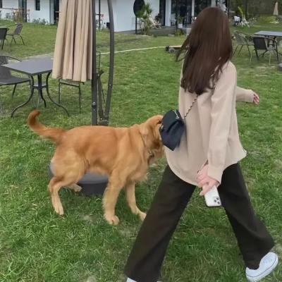 杜芭莉女士 在线播放